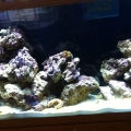 Waters clear