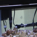 10 Gallon Home