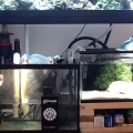 Whats under my tank.