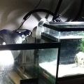photo_1_1