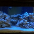 Tank on Day 2