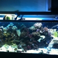 210G 15 months in.