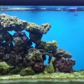 8 months and counting