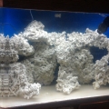 100 gallon corner tank