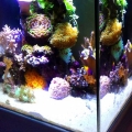 AquaMedic Nano Cube