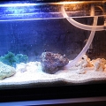 tank