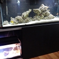 tank