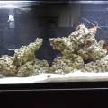 tank