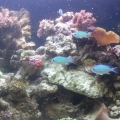 2013-08-11_13_49_15