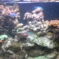 2013-08-11_14_00_05