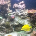 2013-08-11_14_00_16