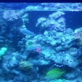 2013-08-11_20_10_59
