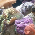 2013-08-14_17_27_21