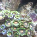 2013-08-14_17_28_18