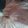 2013-08-14_17_28_46
