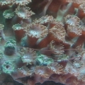 2013-08-14_17_29_22