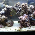 IMG_20120329_162125