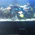 IMG_20130401_103306