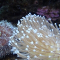 IMG_20130419_110627