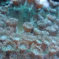 IMG_20130419_110645