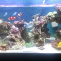 2013-08-20_11_21_14