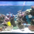 2013-08-20_11_21_27