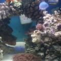2013-08-20_11_21_42