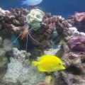 2013-08-20_11_22_00