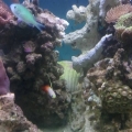 2013-08-20_11_22_24