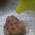 2013-08-27_12_35_25
