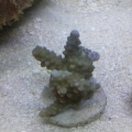 2013-08-27_14_41_56