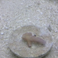 2013-08-27_14_42_28