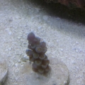 2013-08-27_14_42_57