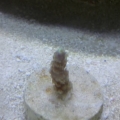 2013-08-27_14_43_16