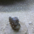 2013-08-27_14_43_26
