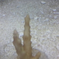 2013-08-27_14_43_52