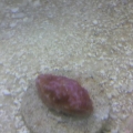 2013-08-27_14_44_05