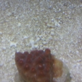 2013-08-27_14_44_16