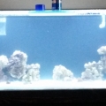 new tank progression