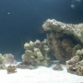 new tank progression