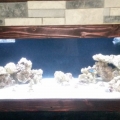 new tank progression