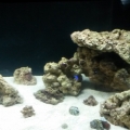 new tank progression