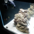 new tank progression