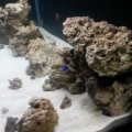 new tank progression