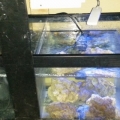 new tank progression