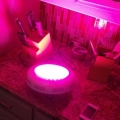 LED fuge light