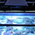 Hamilton Technology Cabo Sun