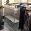 Filter System