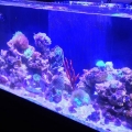 Full tank today
