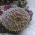 2013-08-27_14_42_08